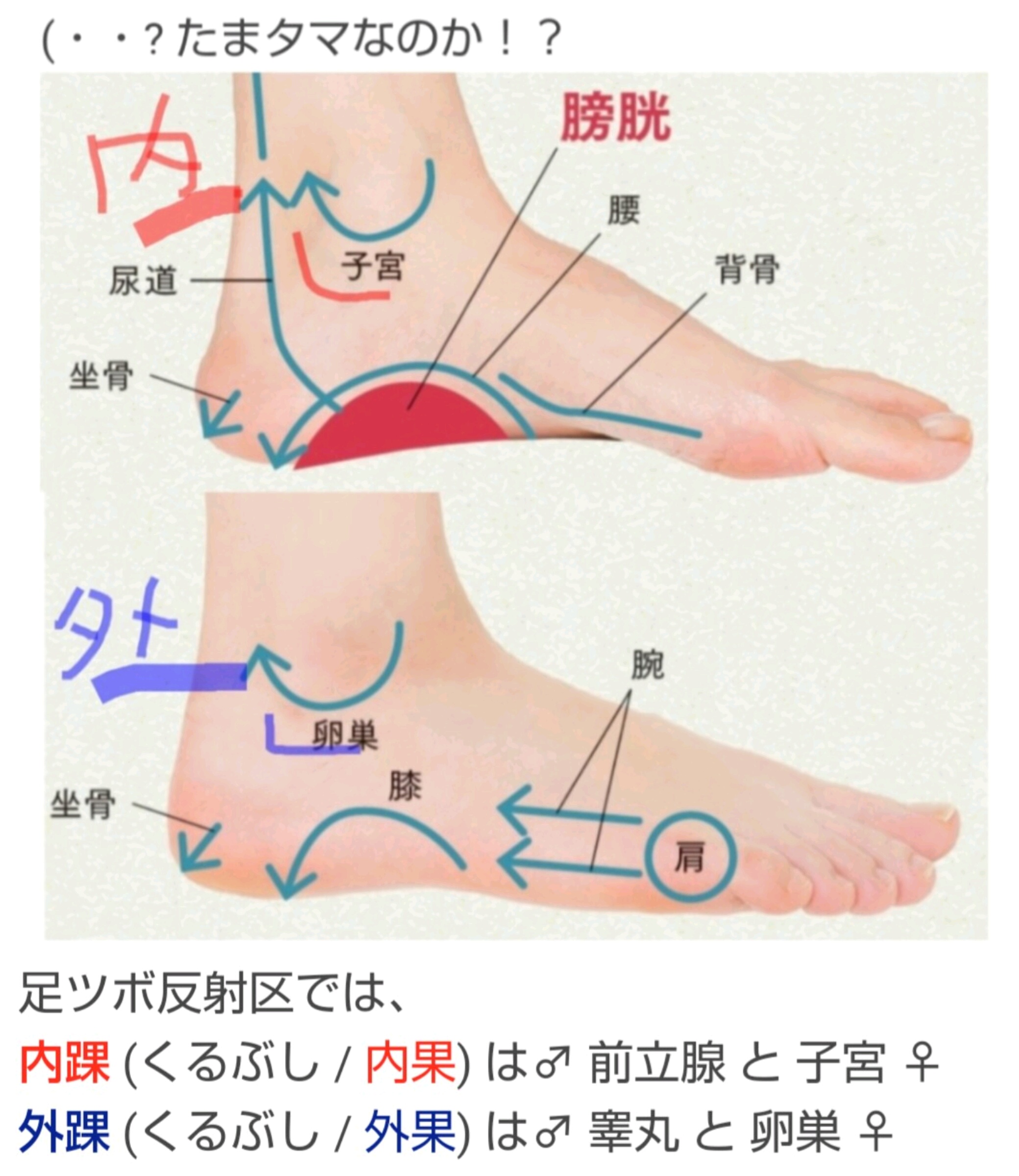 Paperartist 07 16 01 39 12