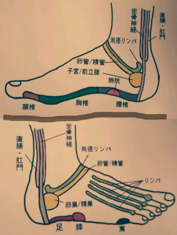 くわぁ を成すところ